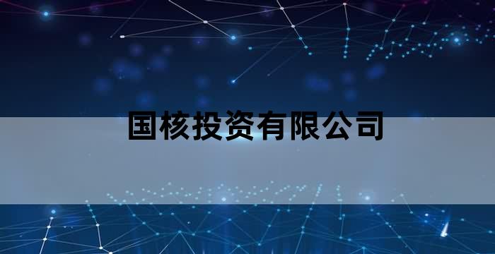 国核投资有限公司总经理
