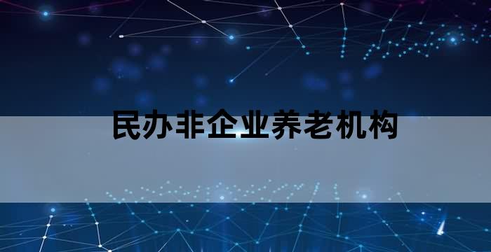 民办非营利性养老机构政策