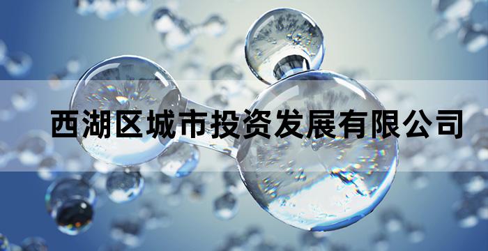 西湖区工程项目