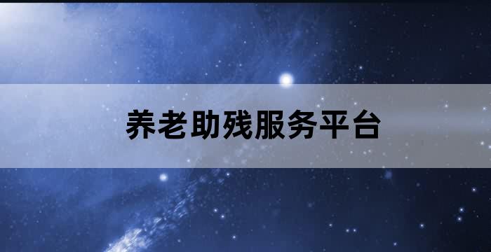 养老助残系统