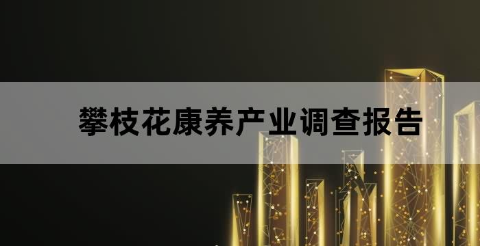2020攀枝花康养产业发展论坛