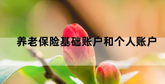 基础养老保险和个人账户养老保险
