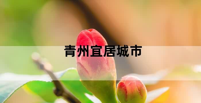 什么是我国城市城区环境