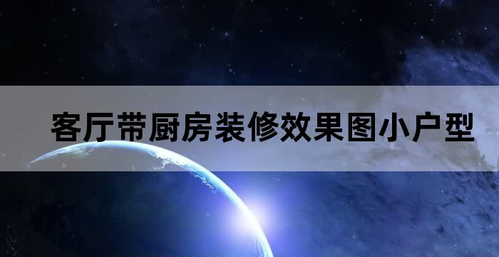 卧室 厨房 客厅