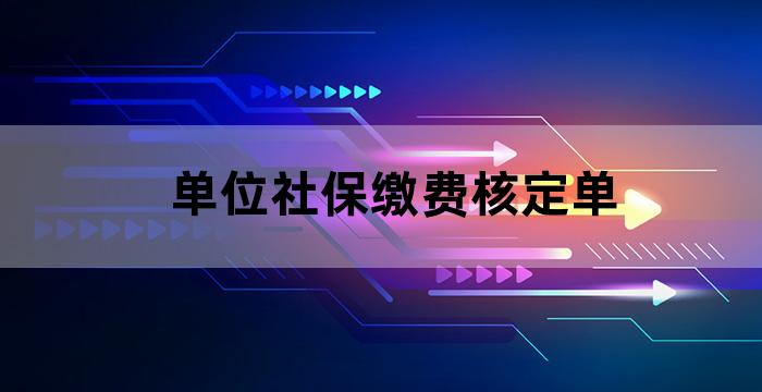 社会保险缴费核定单