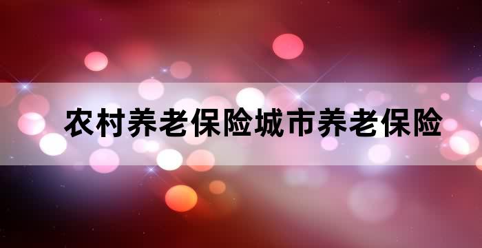 社会养老保险农村