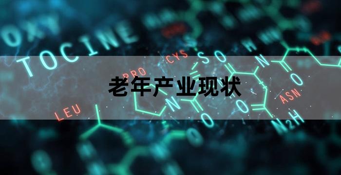 老年人养老的需求