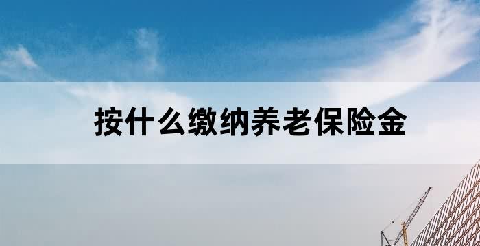个人养老金和基础养老金区别