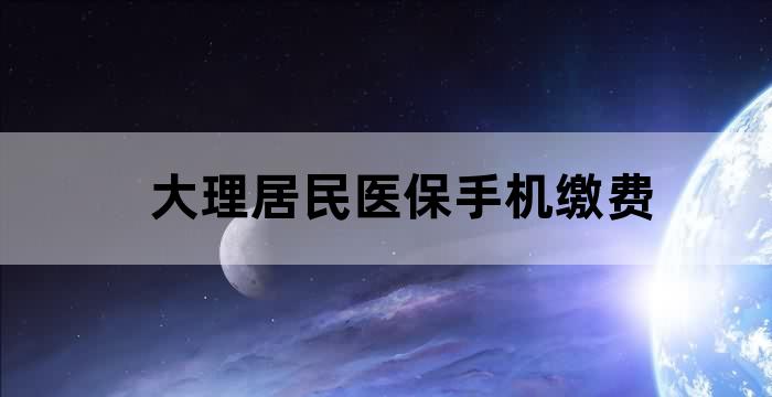 大理社保网上缴费