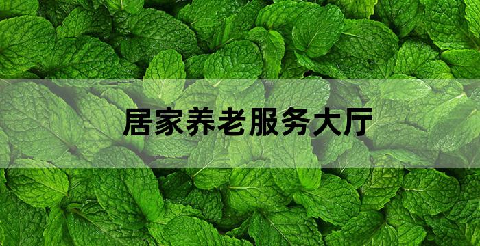 街道居家养老服务中心