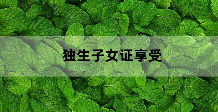 独生子女证养老补贴