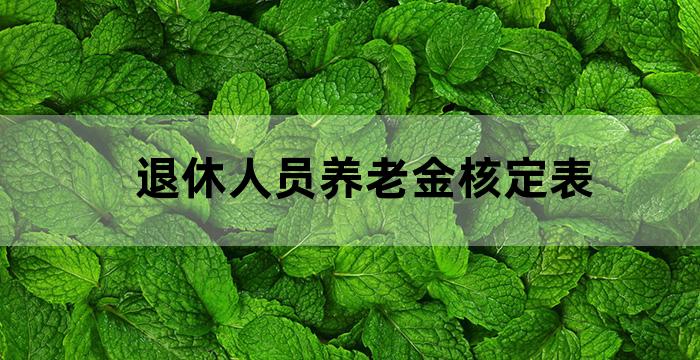 基本养老保险个人账户核定表