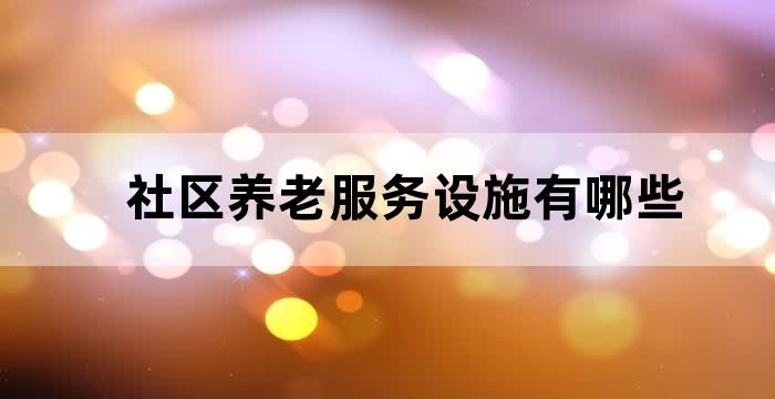 为社区提供养老服务的机构