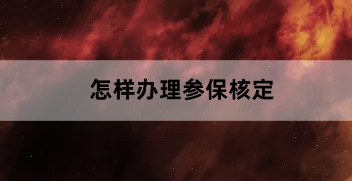社保申报系统单位缴纳核定