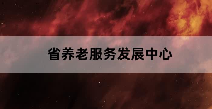 各地建设社会养老服务体系