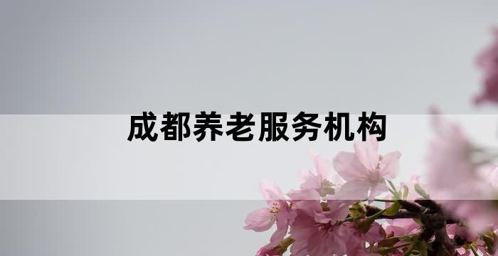 成都市养老服务促进条例