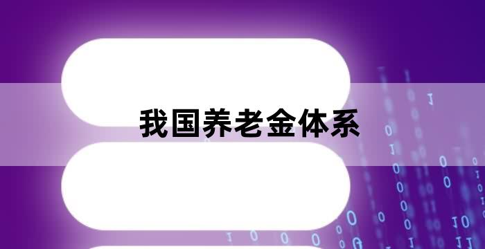 中国养老政策体系的支柱