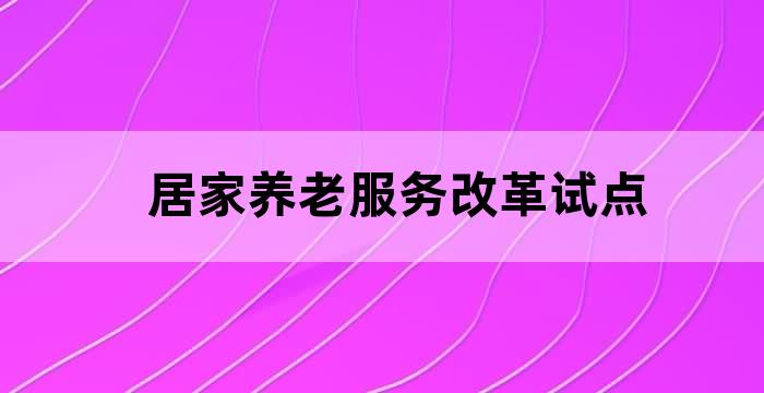 关于全面推进居家养老服务工作的意见