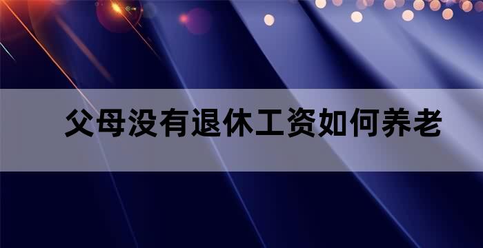 父母没有退休工资如何养老