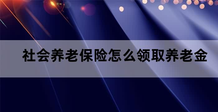 已经享受养老保险待遇和领取退休金