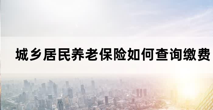 城乡居民养老保险如何查询缴费记录