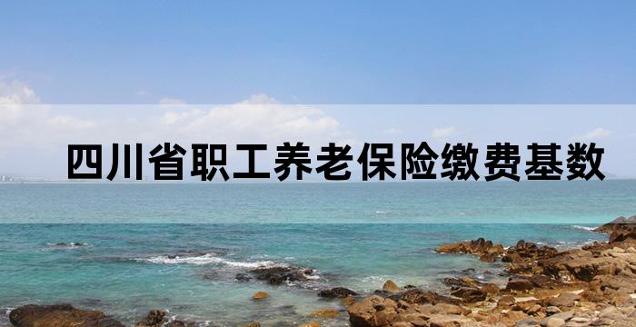 四川省职工养老保险缴费基数