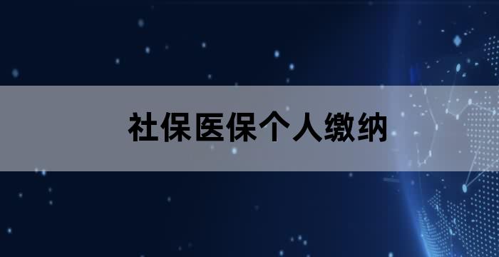 个体职工医疗保险缴费
