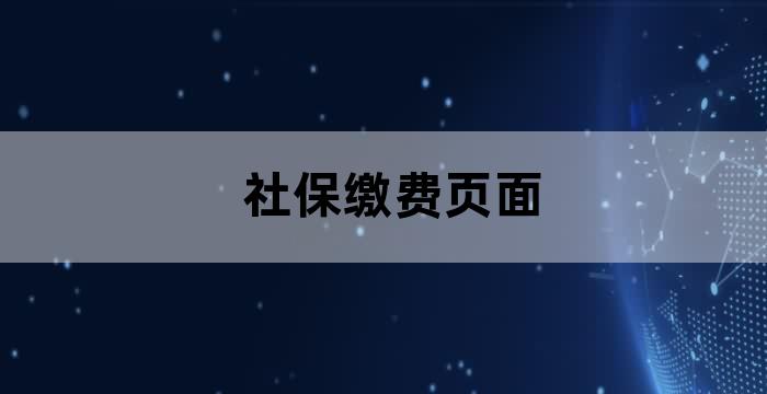 参保登记后怎么缴费