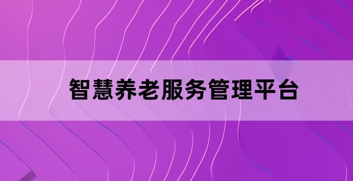 智慧养老信息平台