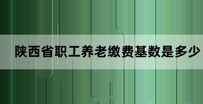 陕西省职工养老缴费基数是多少