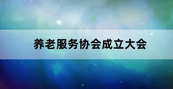 居家养老服务会议