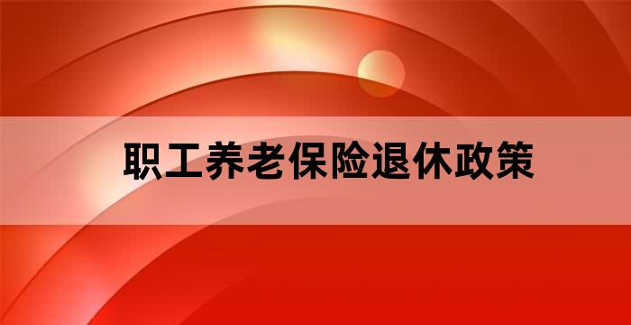 缴纳退休养老保险金