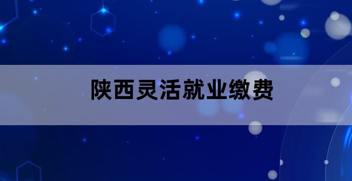 陕西养老保险灵活就业人员缴费