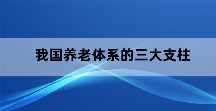 只靠养老金生活的人
