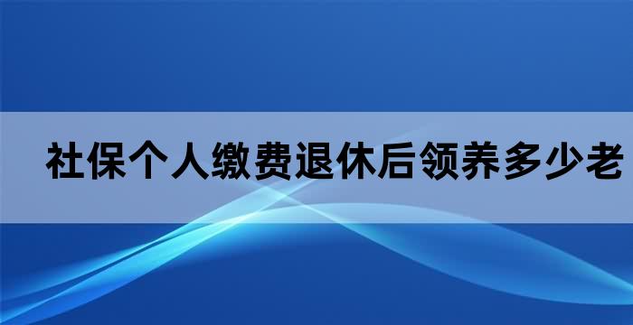 个人养老保险缴费标准 退休后 可领多少