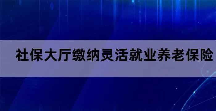 灵活就业人员养老保险缴费流程