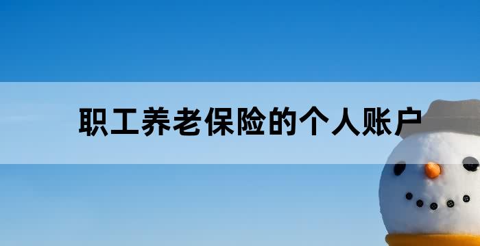个人缴纳养老保险 个人账户