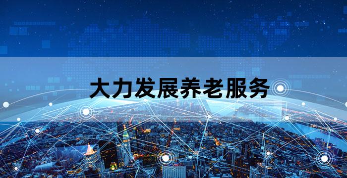 着力健全养老服务业