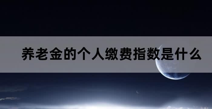 个人养老保险缴费指数