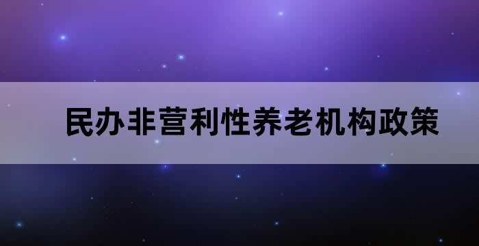 民营办养老院政策