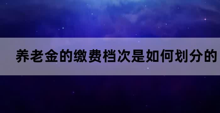 基础养老金缴费档次