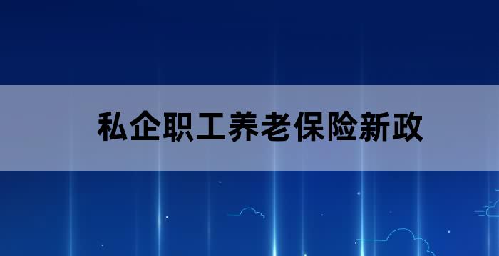 国企和私企的养老保险缴纳比例
