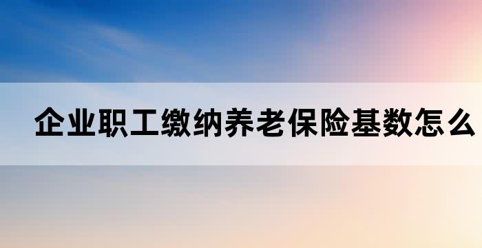 企业职工基本养老保险基数
