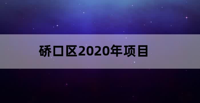 硚口区建设投资有限公司