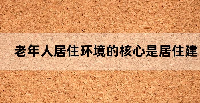 美国的居家养老提供专业居家养老服务的是