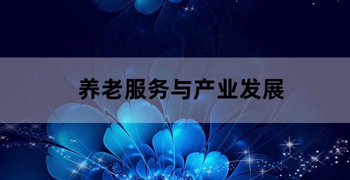 着力发展养老服务业和