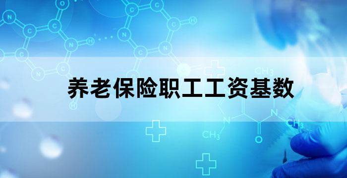 职工基本养老保险的缴费工资基数