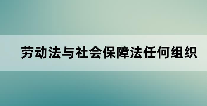 劳动法与社会保障法任何组织或者个人