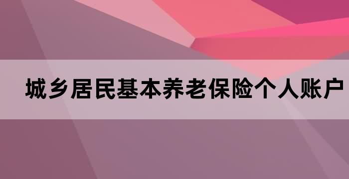 城镇养老保险个人账户