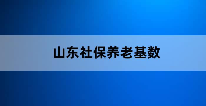 山东省历年养老金缴费基数